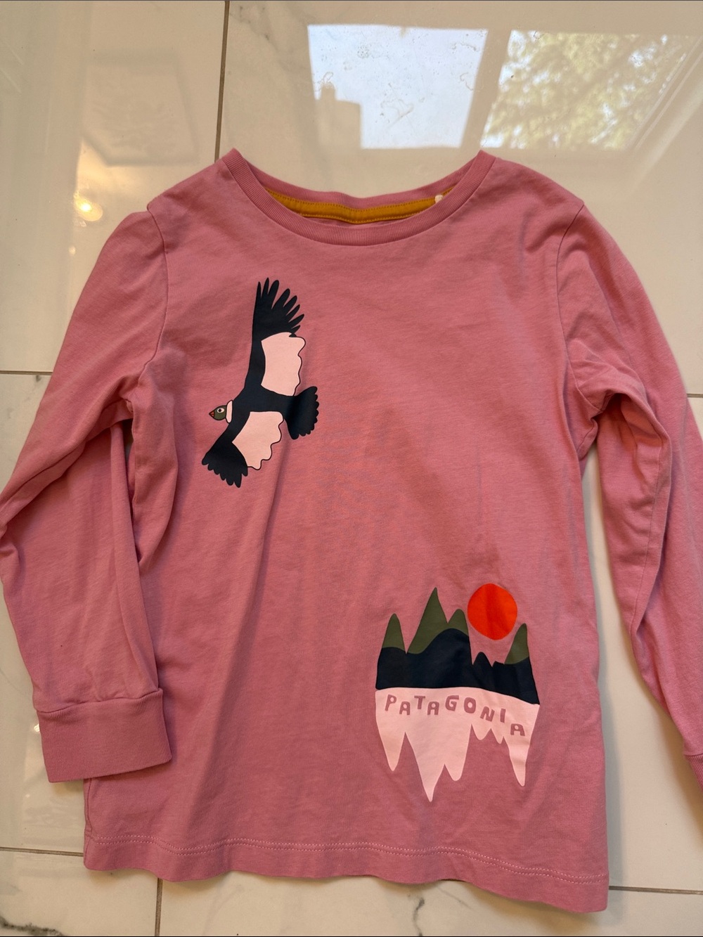 Patagonia Pink Long-Sleeve Tee with Bird & Mountain Graphic
